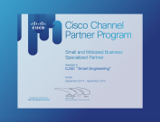 Small and midsized business specialized partner